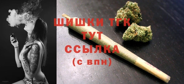спиды Богородск